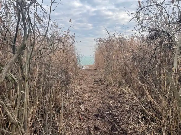 Eladó Építési telek, Balatonfüred 1 m² 99 M Ft